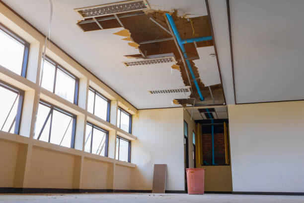  Kendall Park, NJ Water damage restoration Pros