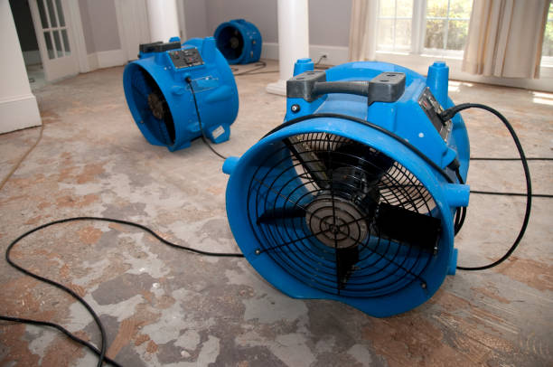 Best Carpet water damage restoration  in Kendall Park, NJ
